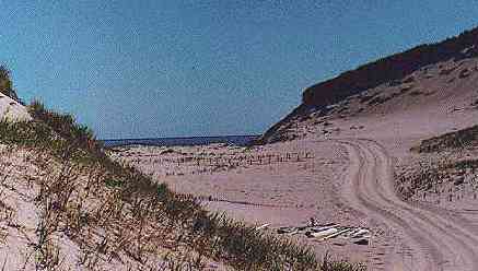 A "blowout" in the dunes just behind the main WX station