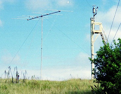 The final location of the six-metre yagi was a shallow sandpit seen to the left of the top section of a big Norfolk pine.  To the right of the yagi is a 5m-high white wooden pole with steps for climbing up and taking weather measurements.
